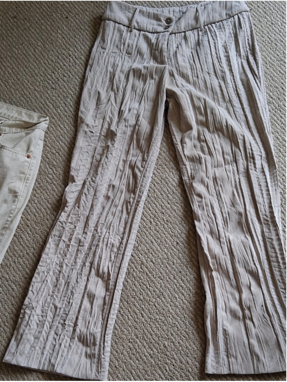 Animale Crinkled Wide-Leg Pants in Light Beige 40